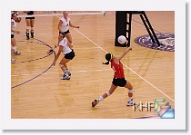 vs Hayden * (156 Slides)